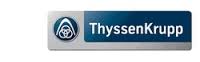 ThyssenKrupp Electrical Steel India Pvt. Ltd.