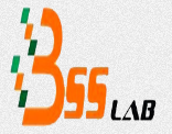 B.S.S. Lab