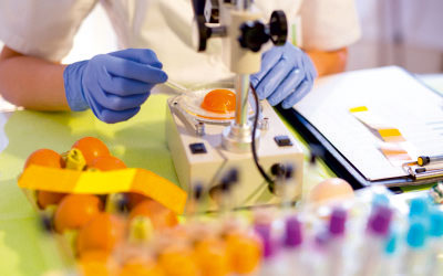 Food testing in a laboratory